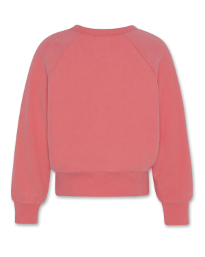 Aya Raglan Sweater Amour 504