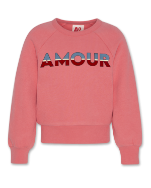 Aya Raglan Sweater Amour 504