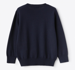Sweater Blue 495