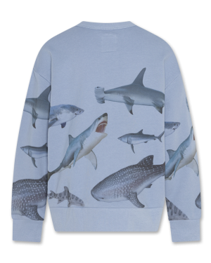 Oscar sweater sharks 704