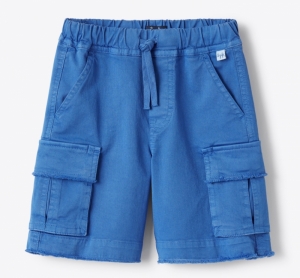Bermuda Shorts Cobalt Blue 466