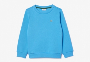 Children sweatshirt 4XA