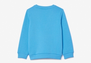 Children sweatshirt 4XA